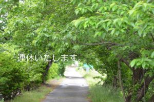 お散歩道